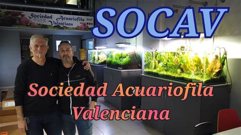 SOCIEDAD ACUARIOFILA VALENCIANA 